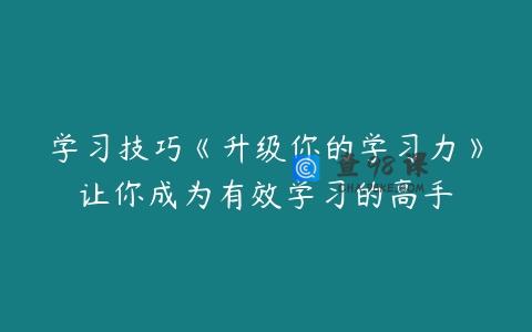 学习技巧《升级你的学习力》让你成为有效学习的高手