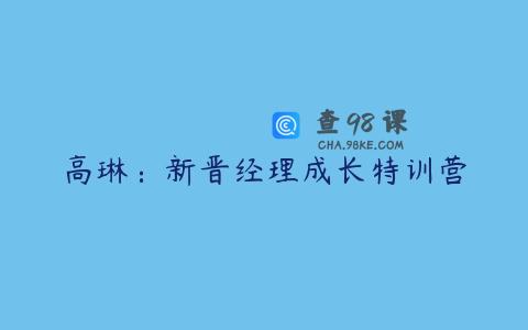 高琳：新晋经理成长特训营