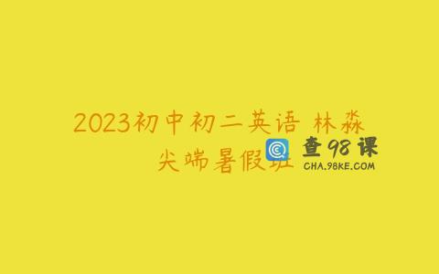 2023初中初二英语 林淼 尖端暑假班
