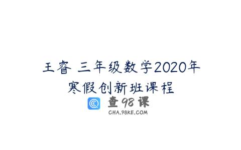王睿 三年级数学2020年寒假创新班课程