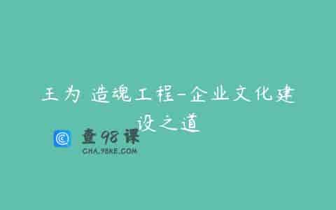 王为 造魂工程-企业文化建设之道