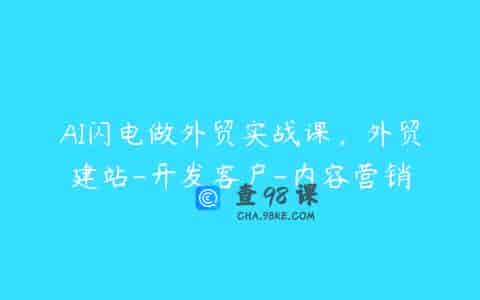 AI闪电做外贸实战课，外贸建站-开发客户-内容营销