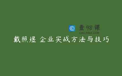 戴照煜 企业实战方法与技巧
