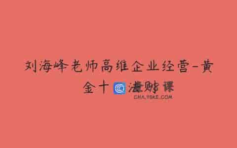 刘海峰老师高维企业经营-黄金十二法则