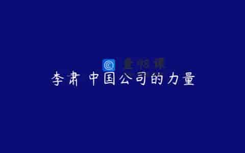 李肃 中国公司的力量