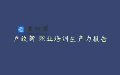 卢致新 职业培训生产力报告
