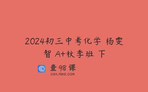 2024初三中考化学 杨雯智 A+秋季班 下
