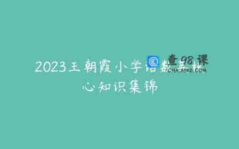 2023王朝霞小学语数英核心知识集锦