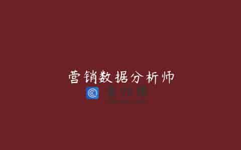 营销数据分析师