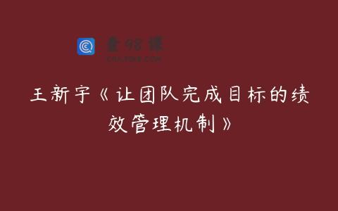 王新宇《让团队完成目标的绩效管理机制》