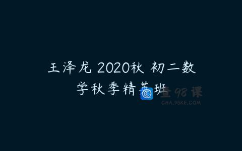 王泽龙 2020秋 初二数学秋季精英班