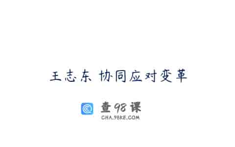 王志东 协同应对变革