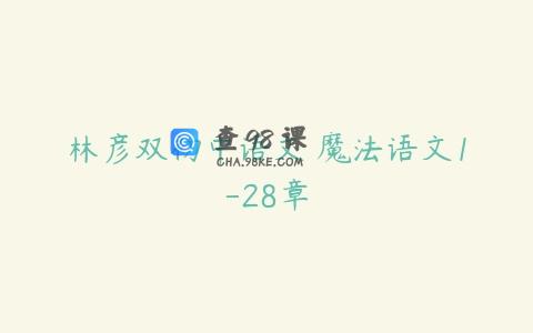 林彦双初中语文 魔法语文1-28章