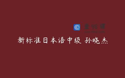 新标准日本语中级 孙晓杰