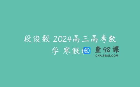 段俊毅 2024高三高考数学 寒假班