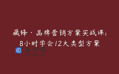 藏锋·品牌营销方案实战课:8小时学会12大类型方案