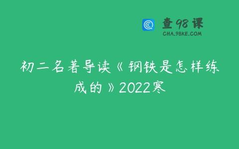 初二名著导读《钢铁是怎样练成的》2022寒