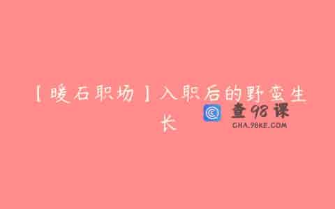 【暖石职场】入职后的野蛮生长
