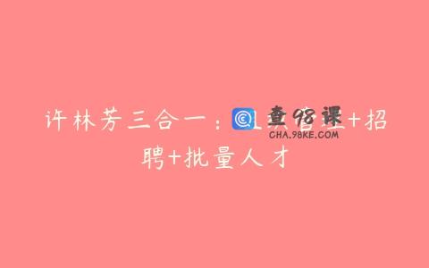 许林芳三合一：组织管理+招聘+批量人才