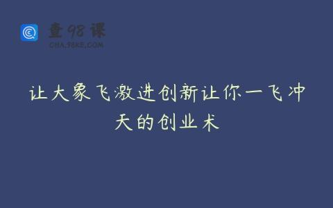 让大象飞激进创新让你一飞冲天的创业术