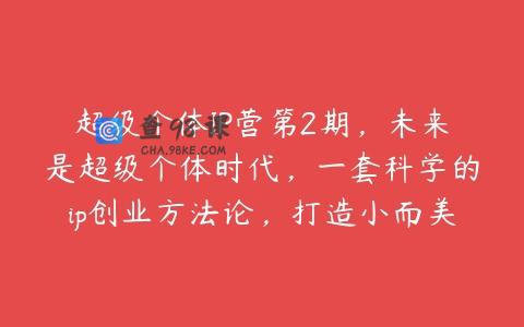 超级个体IP营第2期，未来是超级个体时代，一套科学的ip创业方法论，打造小而美的个体商业模式