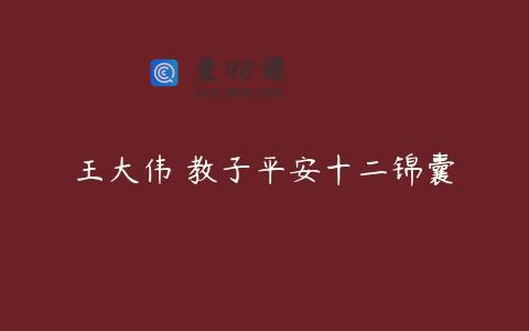王大伟 教子平安十二锦囊