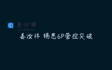 姜汝祥 锡恩6P管控突破