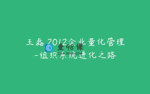王磊 2012企业量化管理-组织系统进化之路