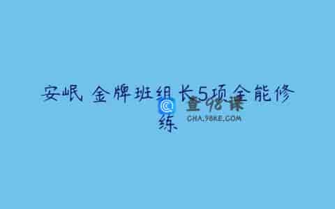 安岷 金牌班组长5项全能修练