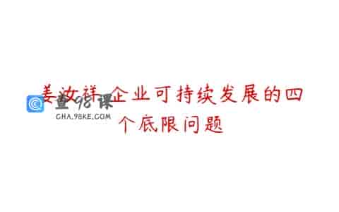 姜汝祥 企业可持续发展的四个底限问题