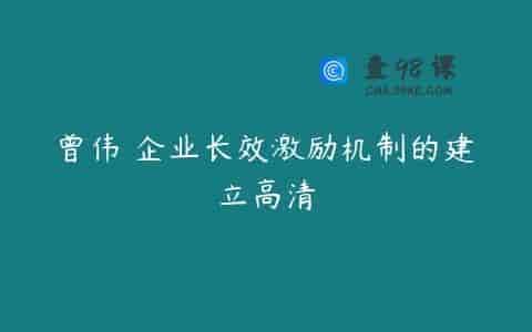 曾伟 企业长效激励机制的建立高清