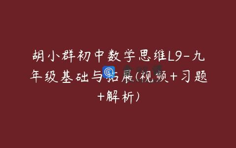 胡小群初中数学思维L9-九年级基础与拓展(视频+习题+解析)