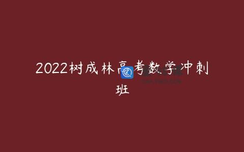 2022树成林高考数学冲刺班