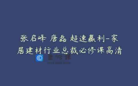 张启峰 唐磊 超速赢利-家居建材行业总裁必修课高清