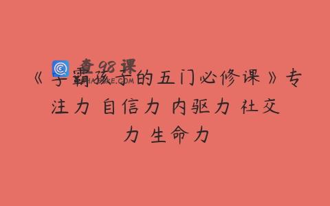 《学霸孩子的五门必修课》专注力 自信力 内驱力 社交力 生命力