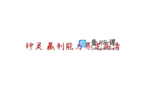 钟灵 赢利能力界定高清