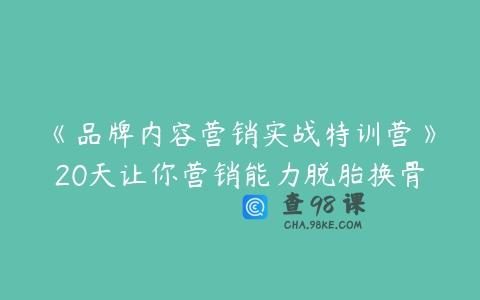 《品牌内容营销实战特训营》20天让你营销能力脱胎换骨