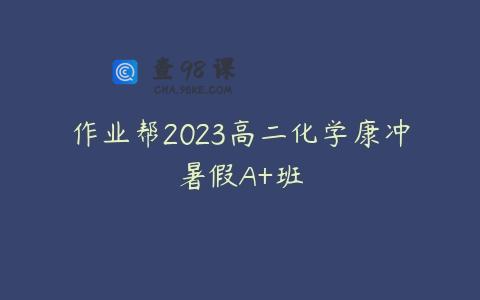 作业帮2023高二化学康冲暑假A+班