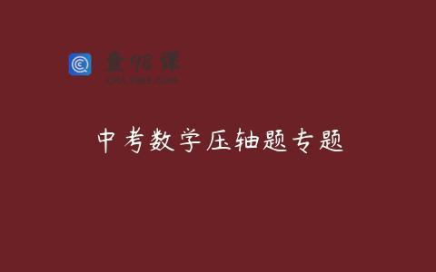 中考数学压轴题专题