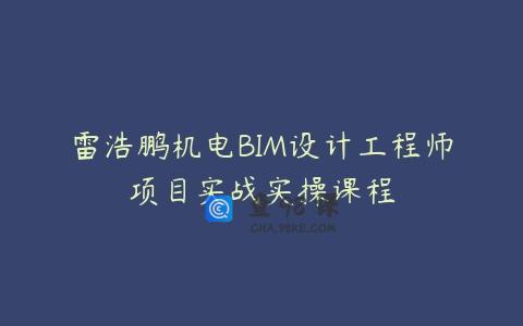 雷浩鹏机电BIM设计工程师项目实战实操课程