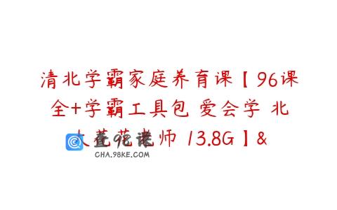 清北学霸家庭养育课【96课全+学霸工具包 爱会学 北大花花老师 13.8G】…