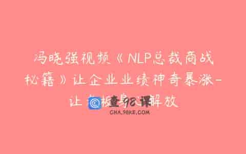 冯晓强视频《NLP总裁商战秘籍》让企业业绩神奇暴涨-让老板身心解放