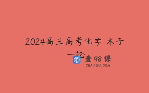 2024高三高考化学 木子 一轮