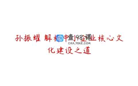 孙振耀 解析中小企业核心文化建设之道