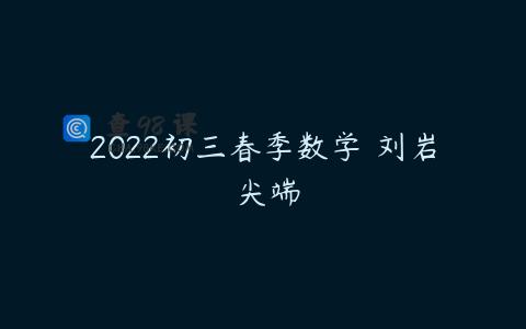 2022初三春季数学 刘岩 尖端