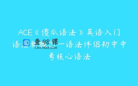ACE《傻瓜语法》英语入门语法新概念一语法伴侣初中中考核心语法