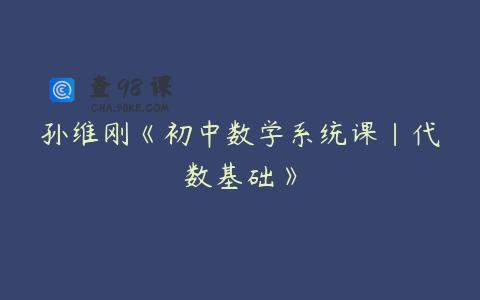 孙维刚《初中数学系统课|代数基础》