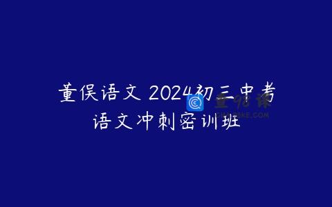 董俣语文 2024初三中考语文冲刺密训班
