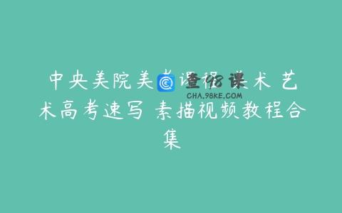 中央美院美考课程 美术 艺术高考速写 素描视频教程合集