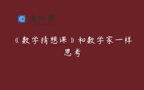 《数学猜想课》和数学家一样思考